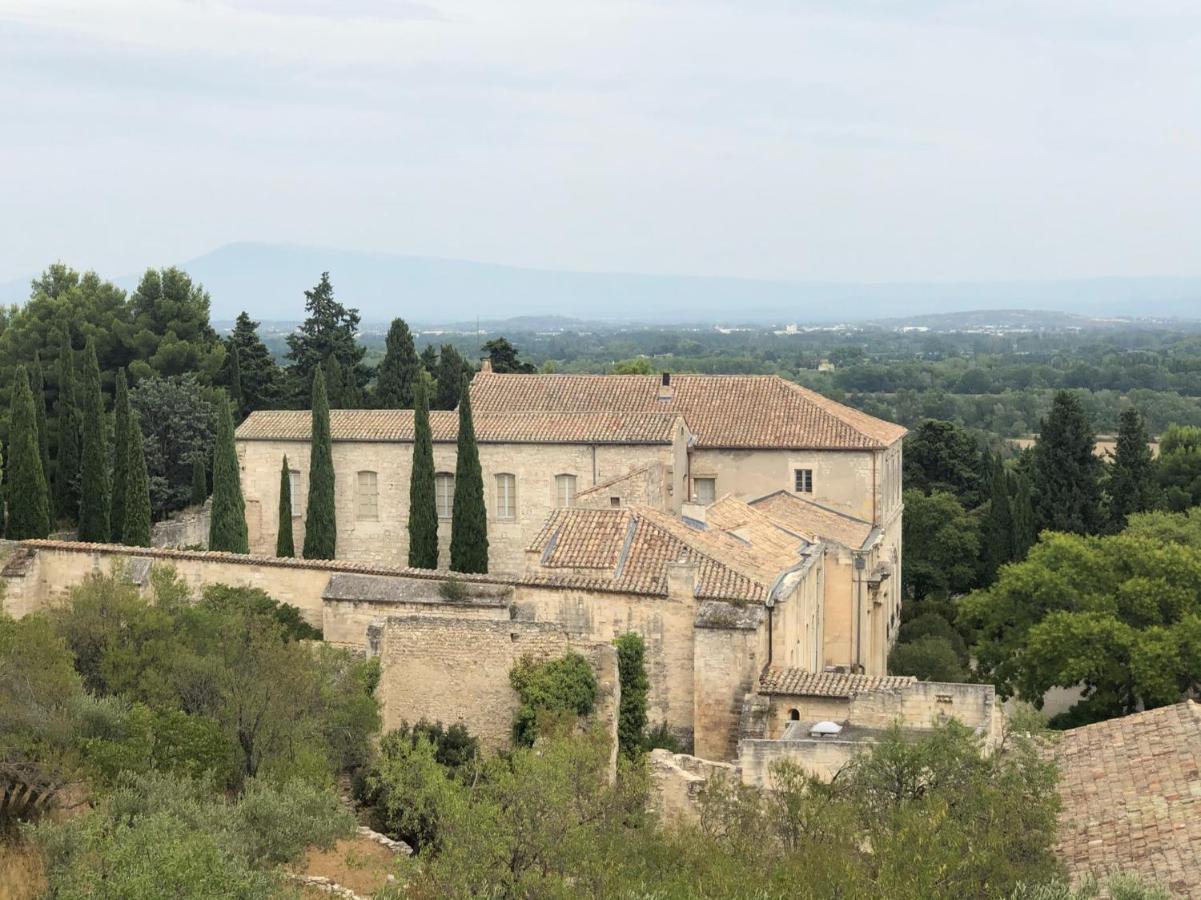 With * Avignon